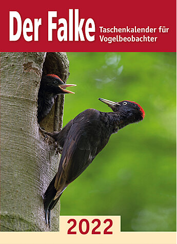 FALKE TASCHENKALENDER 2022 TKL FR VOGELBEOBACHTER