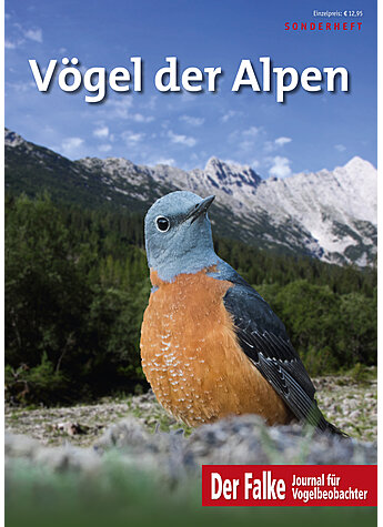 FALKE SONDERHEFT 2022 VGEL DER ALPEN