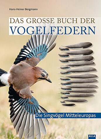 BERGMANN, DAS GROE BUCH DER VOGELFEDERN - SINGVGEL MITTELEUROPAS