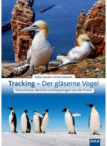 GARTHE/KUBETZKI, TRACKING - DER GLSERNE VOGEL