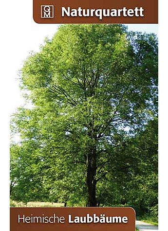 Produktbild fr Produktnummer 4941563