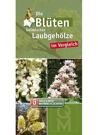 BESTIMMUNGSKARTE-DIE BLTEN HEIMISCHER UND KULTIVIERTER LAUBGEHLZE IM VERGLEICH