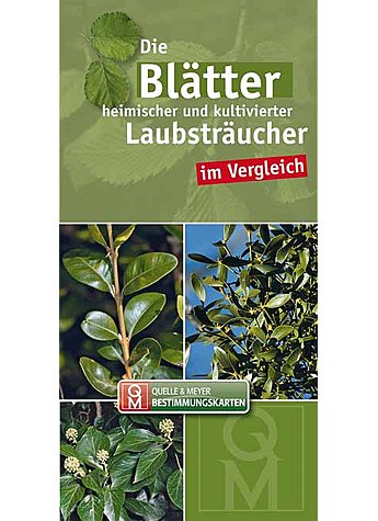 Produktbild fr 'DIE BLTTER HEIMISCHER UND KULTIVIERTER LAUBSTRUCHER IM VERGL./BESTIMMUNGSK. 10ER SET'