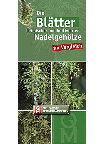 Produktbild fr 'DIE BLTTER HEIMISCHER UND KULTIVIERTER NADELGEHLZE IM VERGL./BESTIMMUNGSK. 10ER SET'