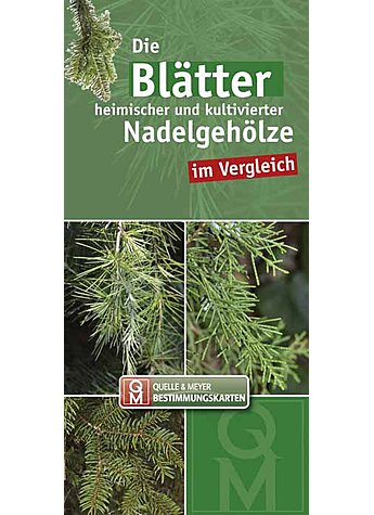 DIE BLTTER HEIMISCHER UND KULTIVIERTER NADELGEHLZE IM VERGL./BESTIMMUNGSK. 10ER SET