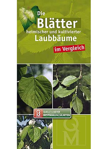 Produktbild fr 'DIE BLTTER HEIMISCHER UND KULTIVIERTER LAUBBUME IM VERGL./BESTIMMUNGSK. 10ER SET'