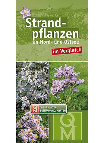 STRANDPFLANZEN AN NORD- UND OSTSEE IM VERGLEICH BESTIMMUNGSKARTEN 10ER SET