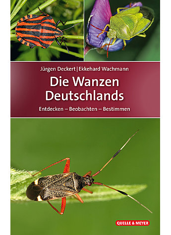 DECKERT/WACHMANN, DIE WANZEN DEUTSCHLANDS