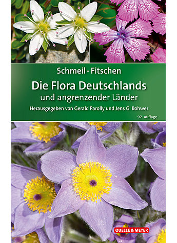 SCHMEIL/FITSCHEN, DIE FLORA VON DEUTSCHLAND UN DER ANGR. LNDER   97.AUFLAGE 2019