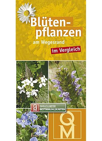 BLTENPFLANZEN AM WEGESRAND IM VERGLEICH BESTIMMUNGSKARTEN 10ER SET