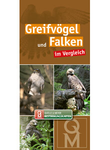 Auf diesem Bild sehen Sie das Produktbild fr BESTIMMUNGSKARTE GREIFVGEL 10ER SET