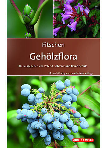 FITSCHEN, GEHLZFLORA 13. AUFLAGE 2017