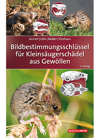 JENRICH/LHR/MLLER, BILD- BESTIMMUNGSSCHLSSEL F. KLEIN- SUGERSCHDEL AUS GEWLLEN