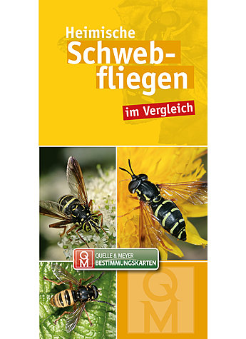 BESTIMMUNGSKARTE HEIMISCHE SCHWEBFLIEGEN