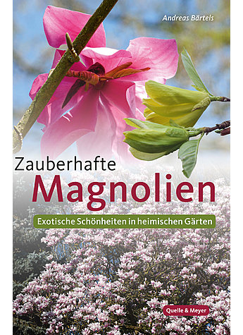 BRTELS, ZAUBERHAFTE MAGNOLIEN