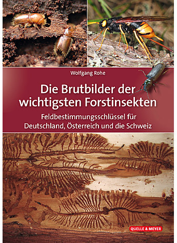 ###ROHE, DIE BRUTBILDER DER WICHTIGSTEN FORSTINSEKTEN