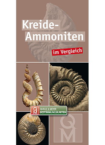 KREIDEAMMONITEN IM VERGLEICH BESTIMMUNGSKARTE