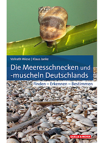 WIESE/JANKE, DIE MEERES- SCHNECKEN UND -MUSCHELN DEUTSCHLANDS