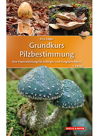 ###LDER, GRUNDKURS PILZBESTIMMUNG 6. AUFLAGE