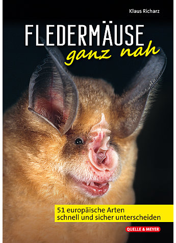 Produktbild fr 'RICHARZ, FLEDERMUSE GANZ NAH'