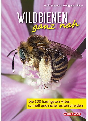 SCHEUCHL/WILLNER, WILDBIENEN GANZ NAH