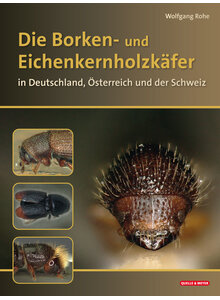 Produktbild fr 'ROHE, DIE BORKEN- U. EICHEN- KERNHOLZKFER IN D, A UND CH'