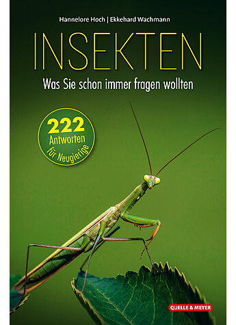 HOCH/WACHMANN, INSEKTEN - WAS SIE SCHON IMMER FRAGEN WOLLTEN