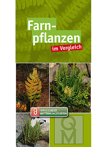 Produktbild fr 'FARNPFLANZEN IM VERGLEICH BESTIMMUNGSKARTE'