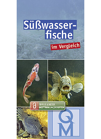 SWASSERFISCHE IM VERGLEICH BESTIMMUNGSKARTE