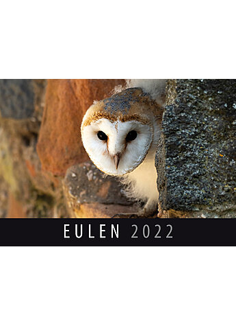 WANDKALENDER EULEN 2022