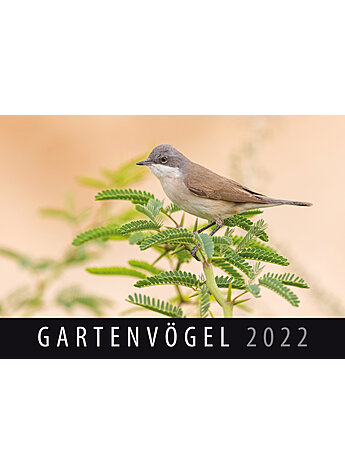 WANDKALENDER GARTENVGEL 2022