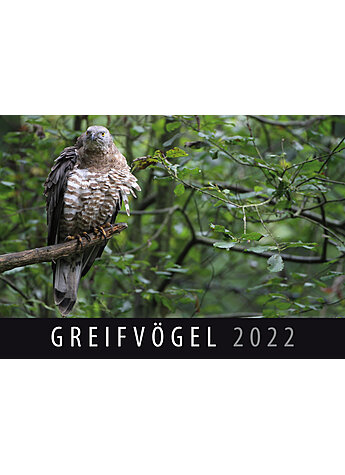 WANDKALENDER GREIFVGEL 2022