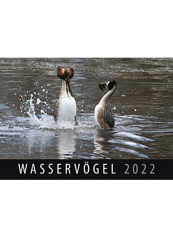 WANDKALENDER WASSERVGEL 2022