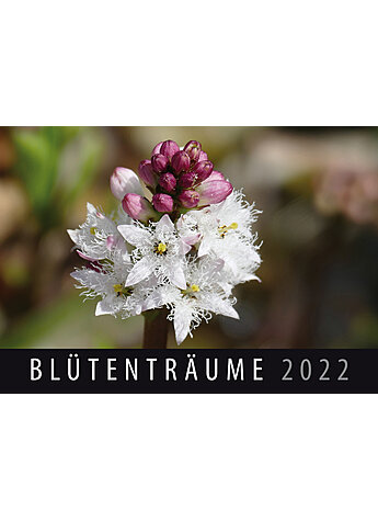 WANDKALENDER BLTENTRUME 2022