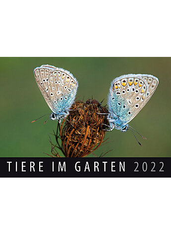 WANDKALENDER TIERE IM GARTEN 2022