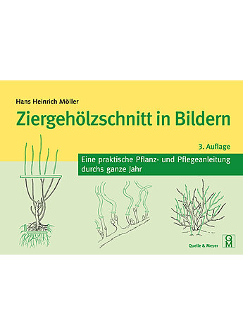 Produktbild fr 'MLLER, ZIERGEHLZSCHNITT IN BILDERN 3. AUFLAGE 2021'