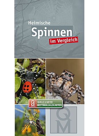 SPINNEN IM VERGLEICH BESTIMMUNGSKARTE