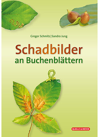 SCHMITZ/JUNG, SCHADBILDER AN BUCHENBLTTERN