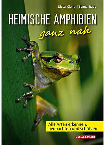 Produktbild fr 'GLANDT/TRAPP, HEIMISCHE AMPHIBIEN GANZ NAH 2. AUFLAGE'