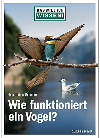 BERGMANN, DAS WILL ICH WISSEN! WIE FUNKTIONIERT EIN VOGEL?