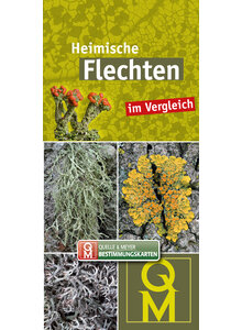 HEIMISCHE FLECHTEN IM VERGLEICH - BESTIMMUNGSKARTEN 10er SET