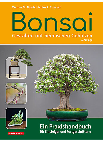 BUSCH/STRECKER, BONSAI - GESTALTEN MIT HEIMISCHEN GEHLZEN     3. AUFLAGE