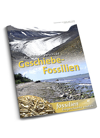 FOSSILIEN SONDERHEFT 2023 GESCHIEBE-FOSSILIEN