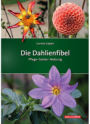 GUTJAHR, DIE DAHLIENFIBEL