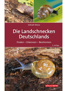 Produktbild fr 'WIESE, DIE LANDSCHNECKEN DEUTSCHLANDS 3. AUFLAGE 2024'
