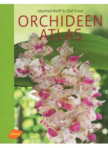 Auf diesem Bild sehen Sie das Produktbild fr ORCHIDEEN-ATLAS - WOLFF/GRUSS