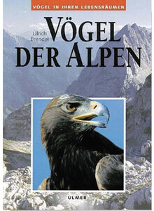 BRENDEL, VGEL DER ALPEN