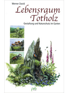 DAVID: LEBENSRAUM TOTHOLZ