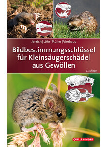 JENRICH: BILDBESTIMMUNGS- SCHLSSEL FR KLEINSUGER.