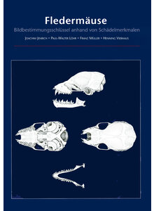 FLEDERMUSE - BILDBESTIMMUNGSSCHLSSEL ANHAND V. SCHDELMERKMALEN
